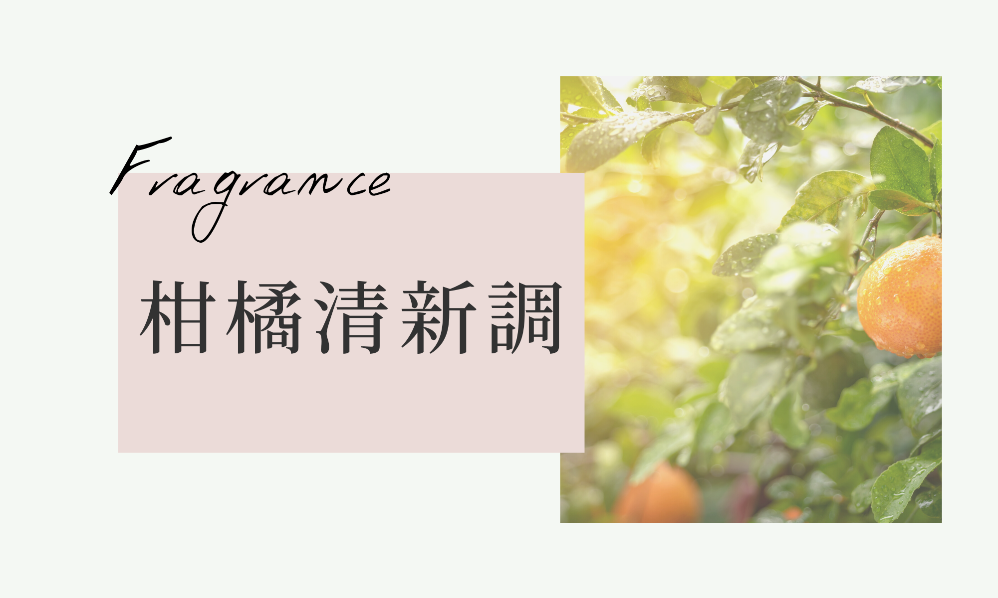 柑橘清新調香水