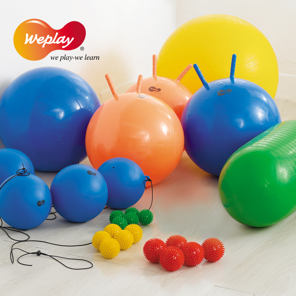 Weplay 校園綜合球組