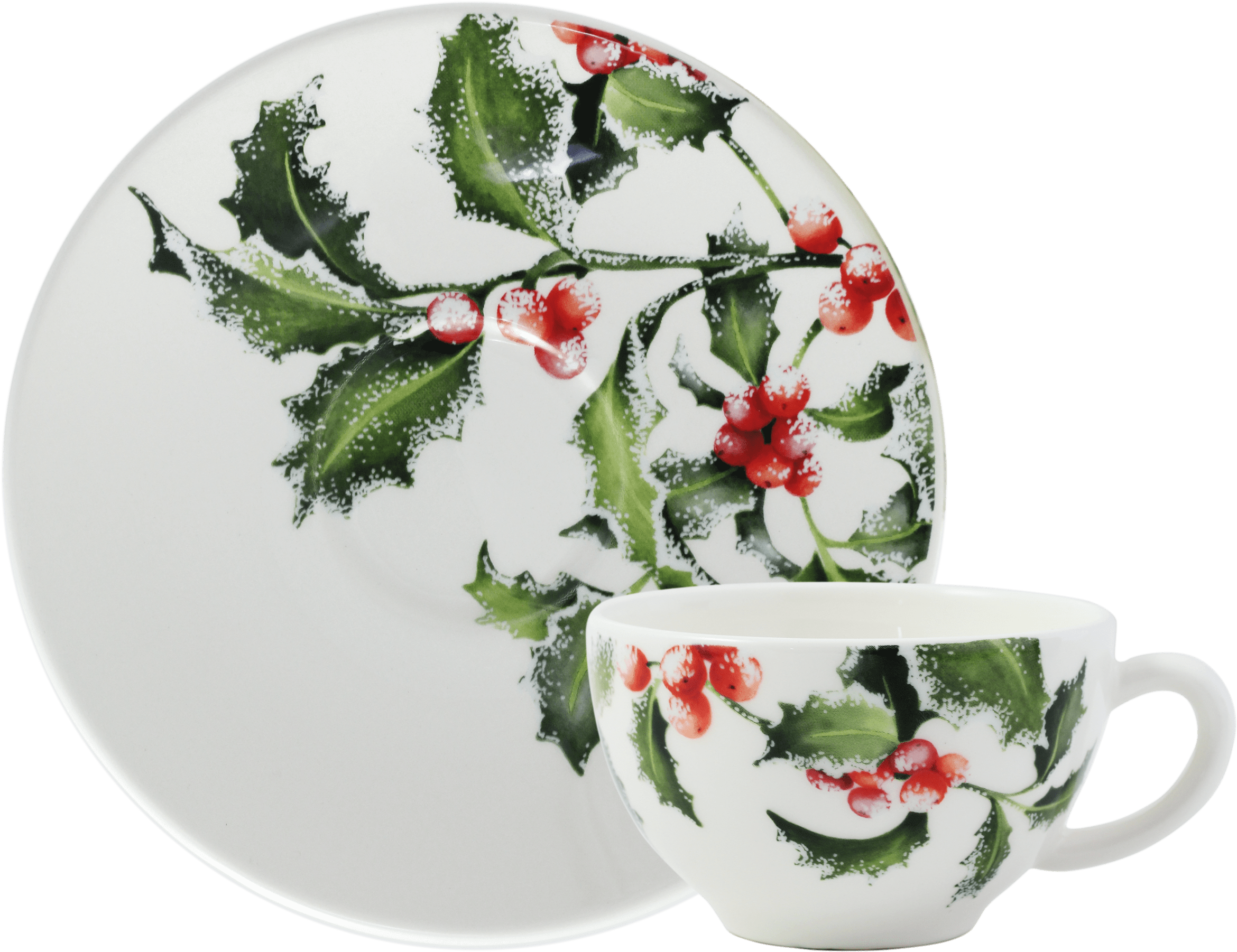 Tea Cup & Saucer (Set of 2)