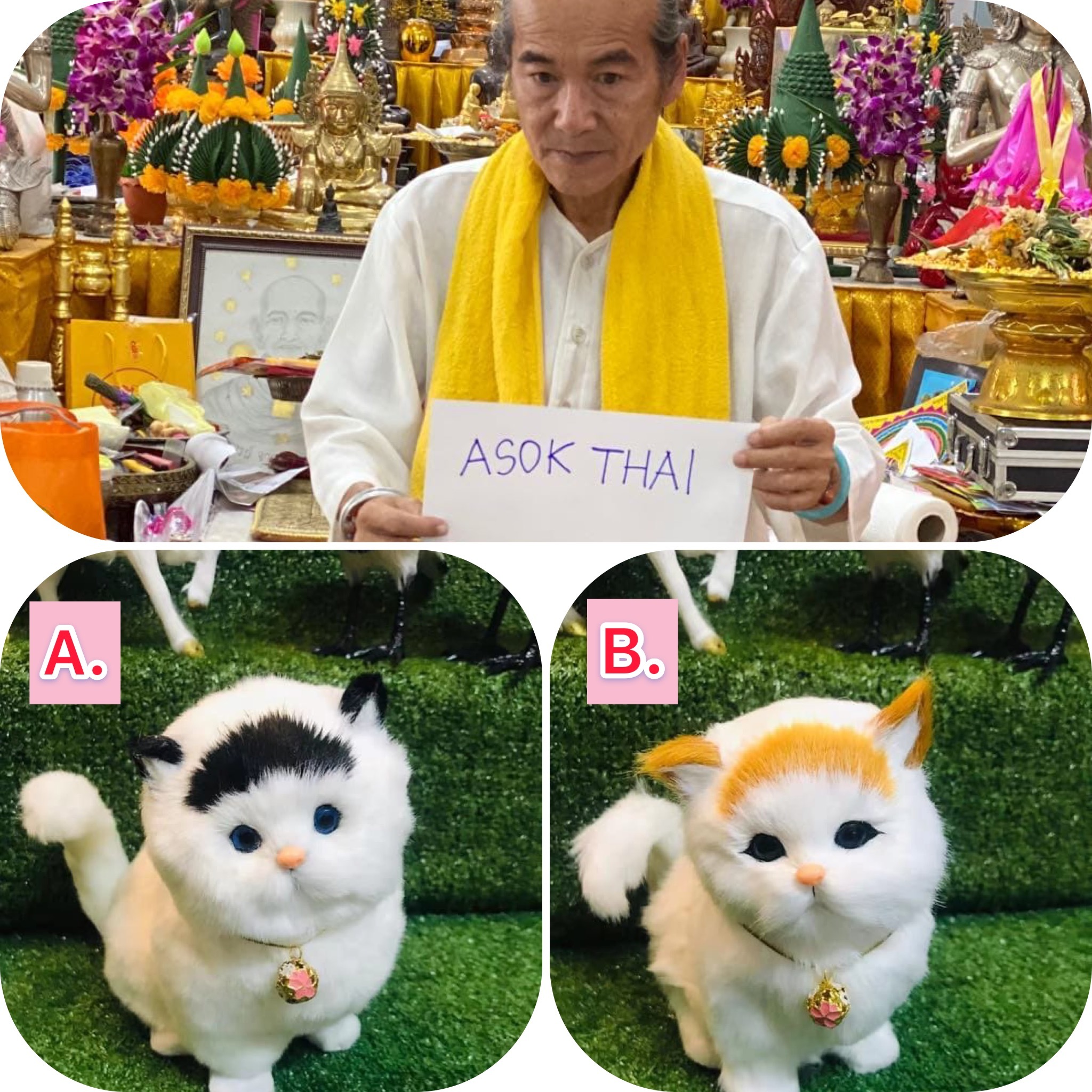 阿贊力礦 最新招財貓貓🙏