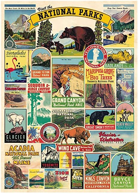 國家公園 包裝紙/海報 ｜美國 Cavallini & Co.