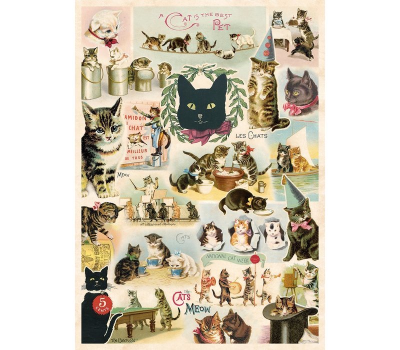 貓咪 包裝紙/海報 ｜美國 Cavallini & Co.