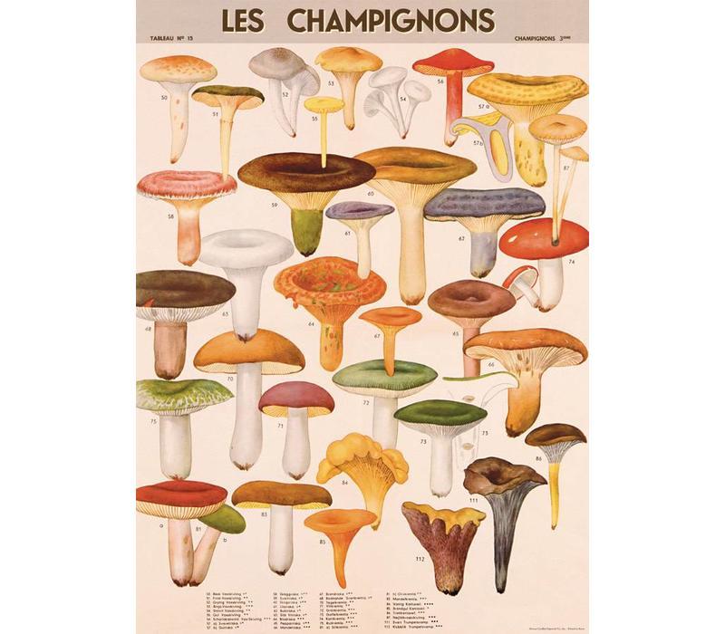 蕈菇 包裝紙/海報 ｜美國 Cavallini & Co