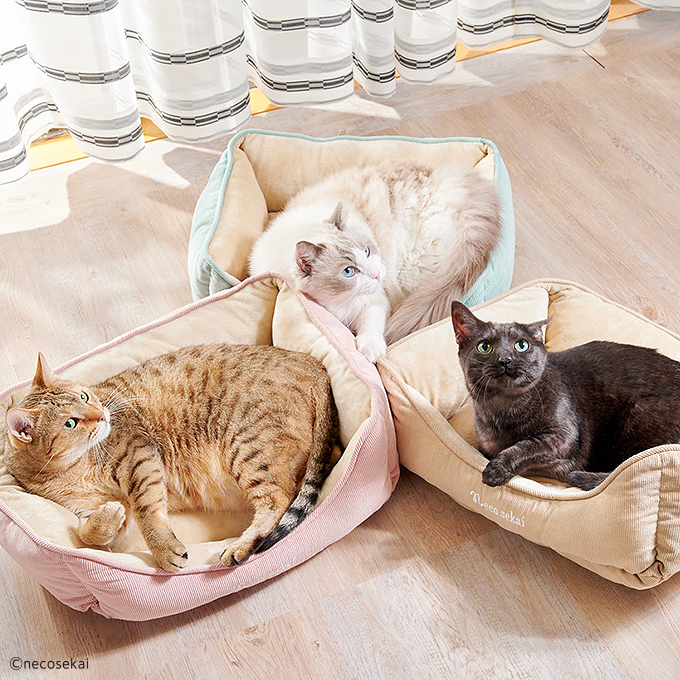【現貨9折】日本 necosekai 燈芯絨保暖貓床
