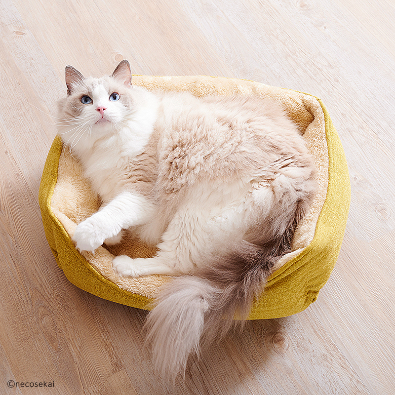 【現貨8折】日本necosekai長絨毛超極暖貓床