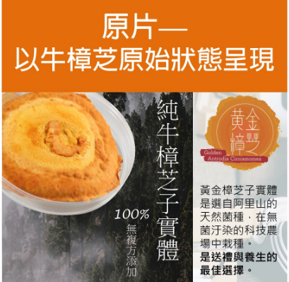 【黃金體驗｜純牛樟芝禮盒】黃金樟芝子實體原片 (1入)