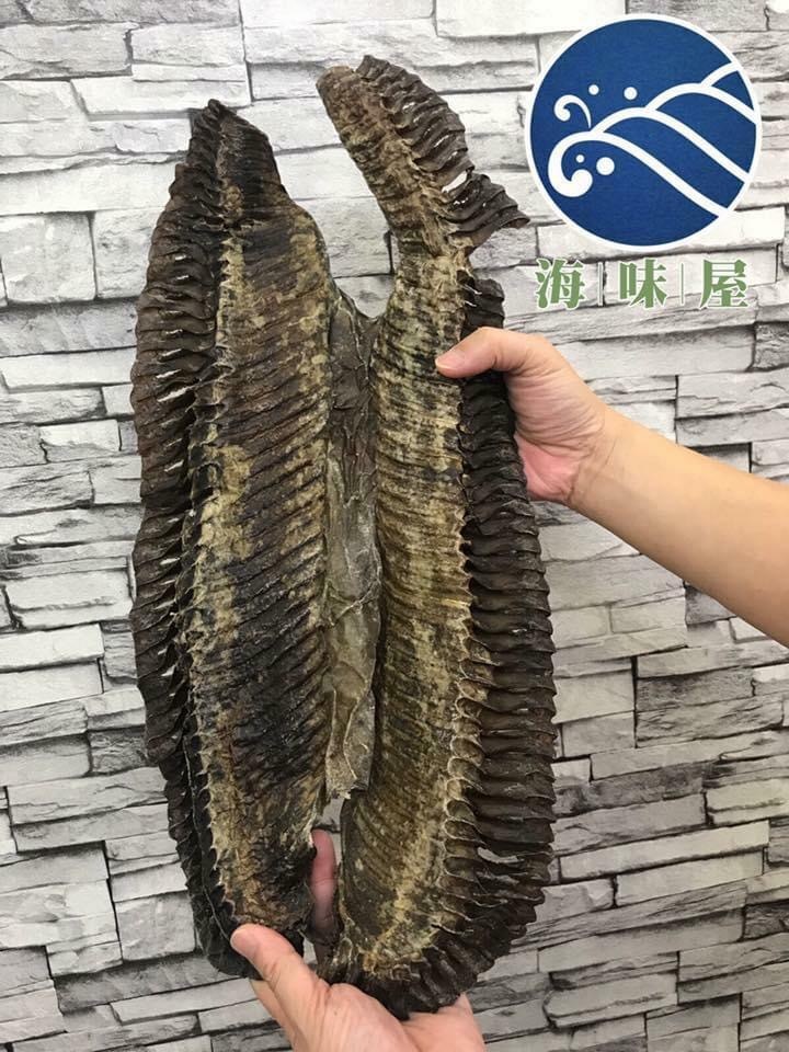 H20333 特大彭魚鰓（四両）