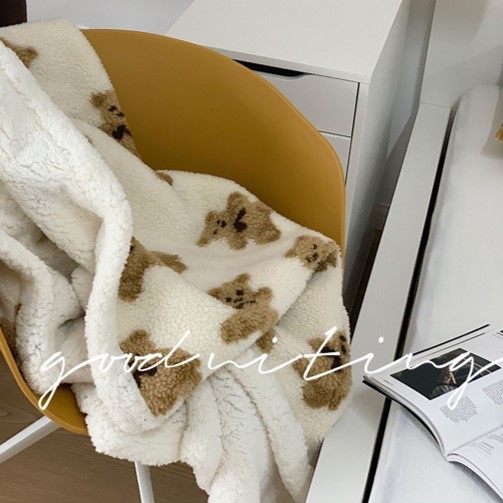 teddy bear blanket