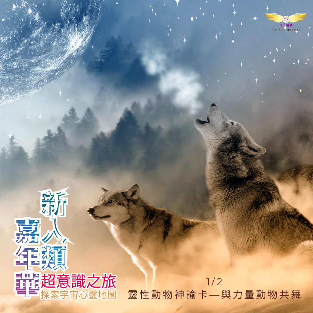 2021新人類嘉年華《靈性動物神諭卡－與力量動物共舞》