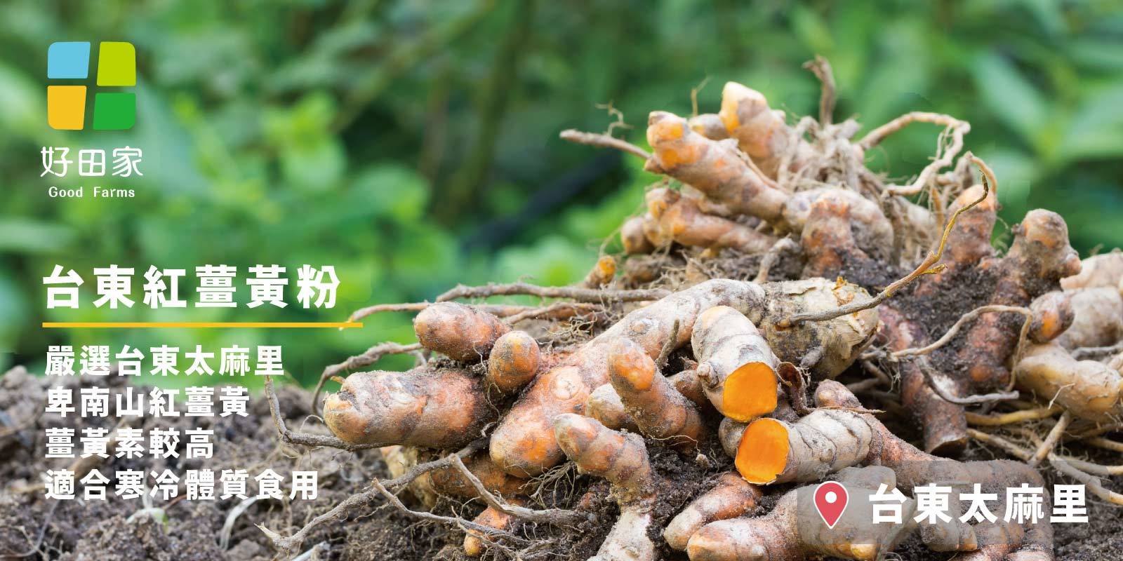 好田家台東紅薑黃，剛採收的新鮮紅薑黃