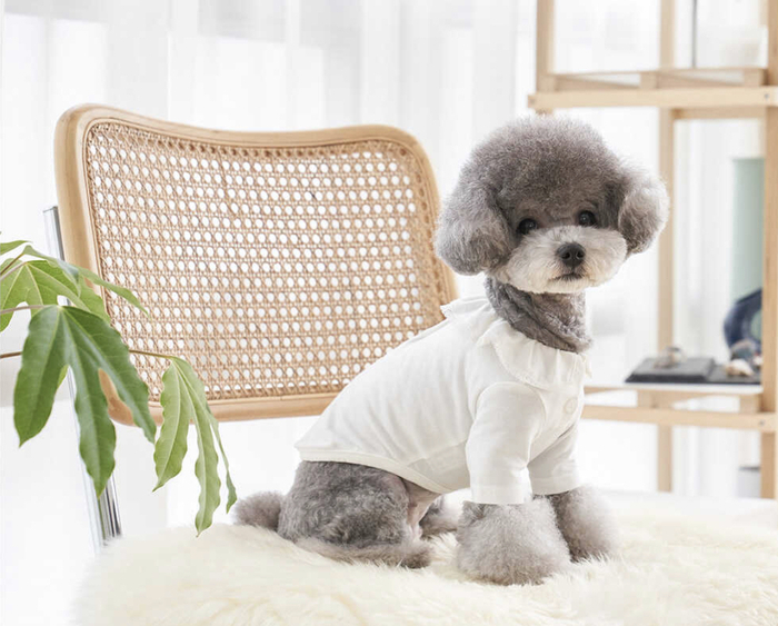 荷葉領巾式蕾絲邊飾+蕾絲 珍珠白 百搭上衣-It’s sunny outside