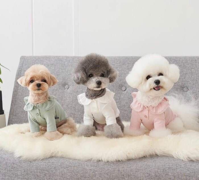 荷葉領巾式蕾絲邊飾+蕾絲 珍珠白 百搭上衣-It’s sunny outside