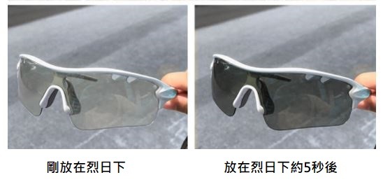 DAHON 變色太陽眼鏡 DH-1078