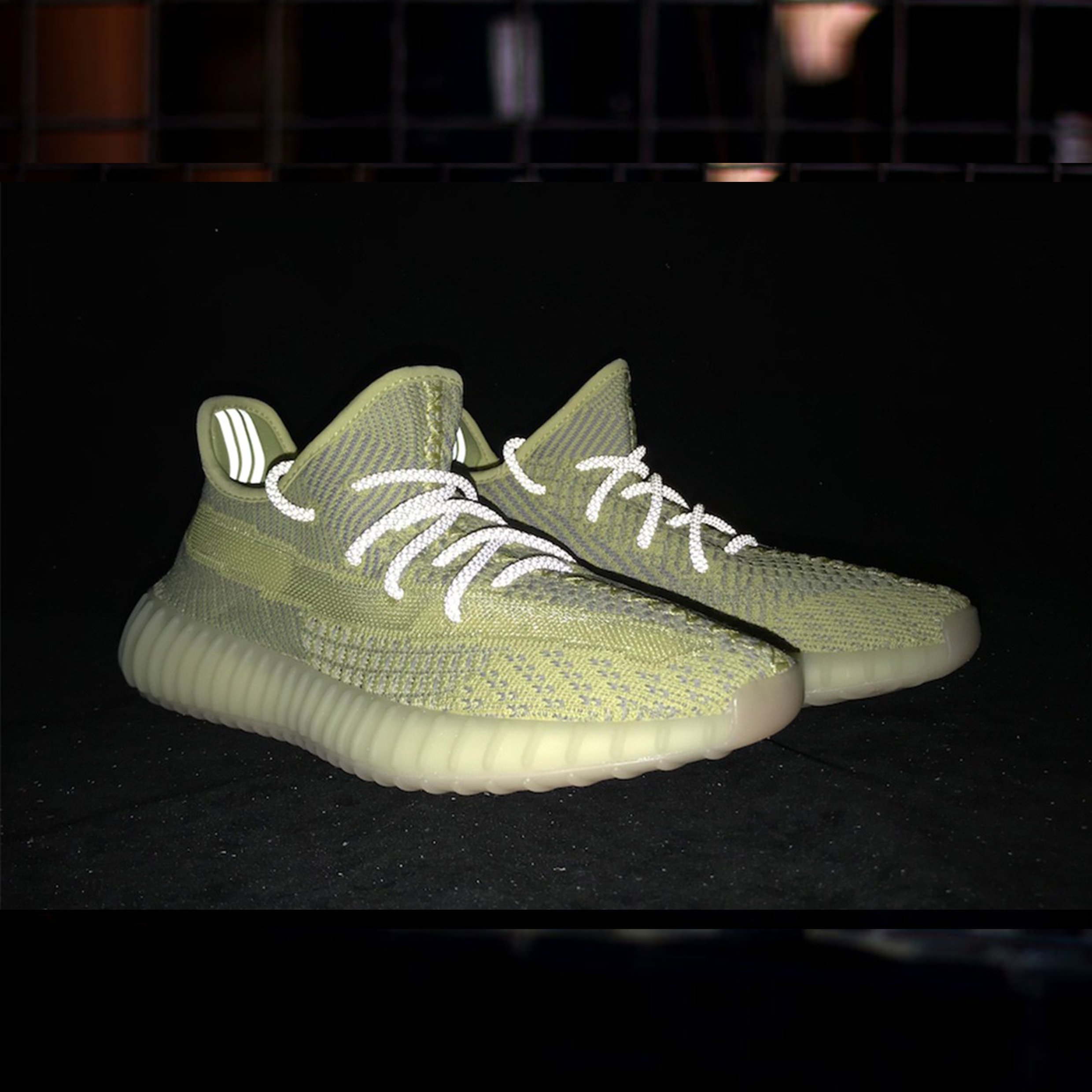 Adidas Yeezy Boost 350 V2 Antlia 歐洲限定