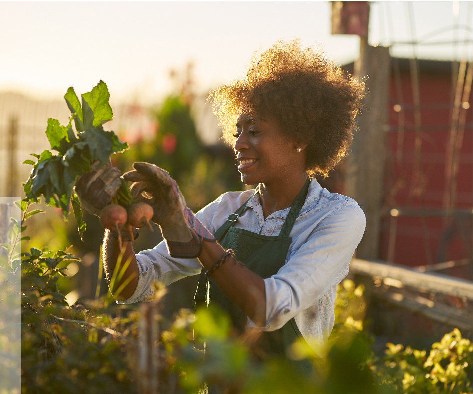 evolsense-caring03右邊的形象圖