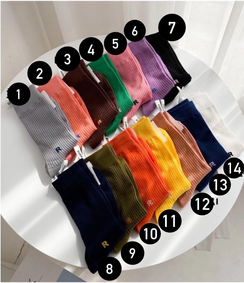 現貨 韓國 七彩小R 長襪 14色 韓國襪