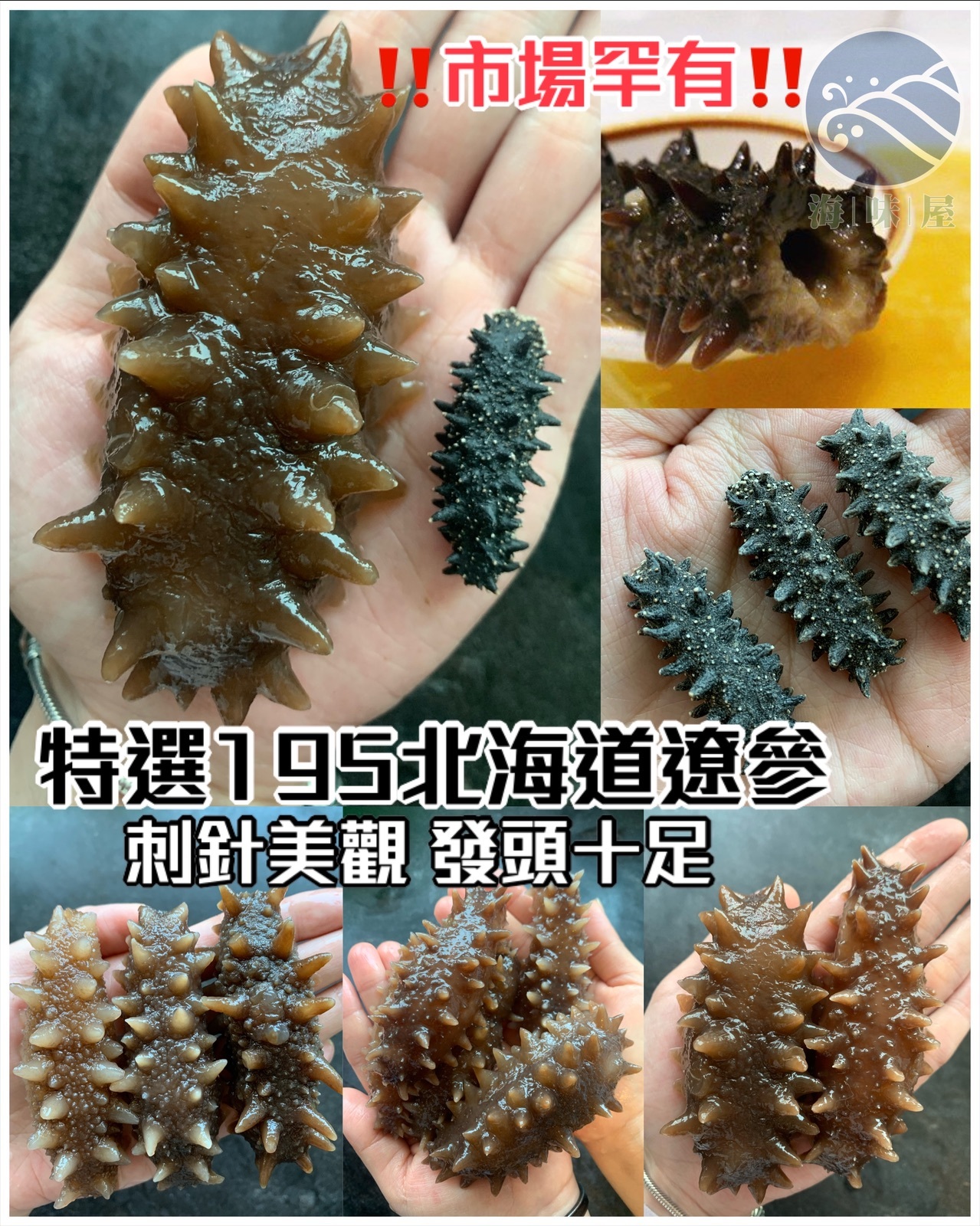 CA013 特選195枝日本北海道遼參(一両）