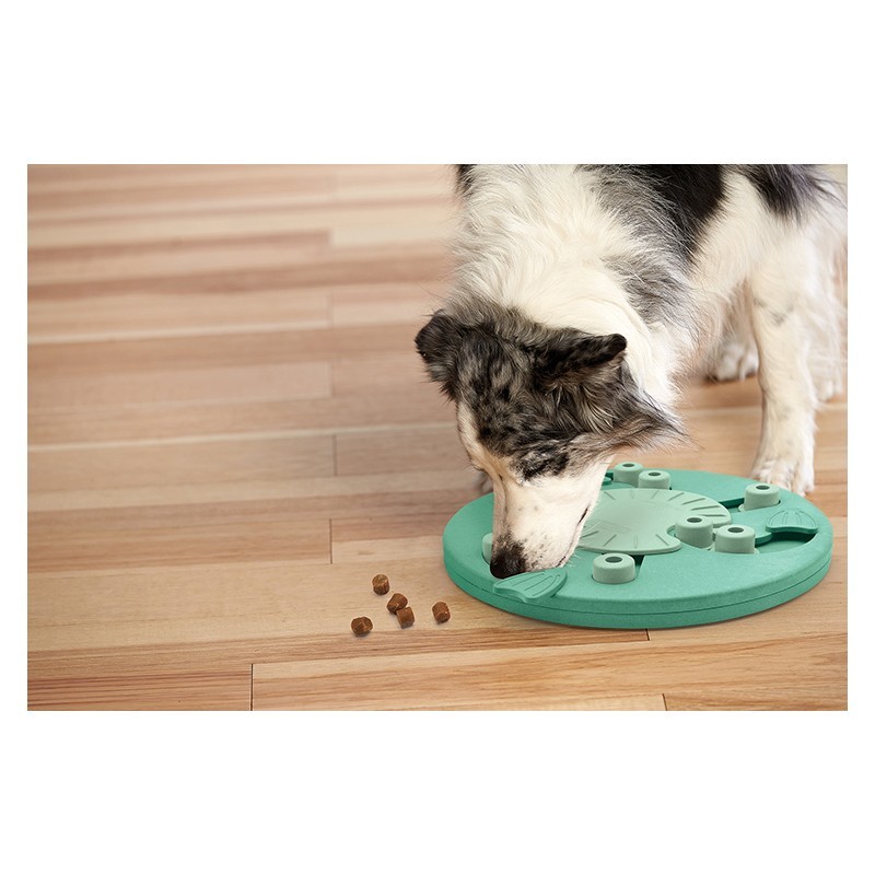 NINA OTTOSSON - 狗勞才-智力遊戲 (難度3: 中階)