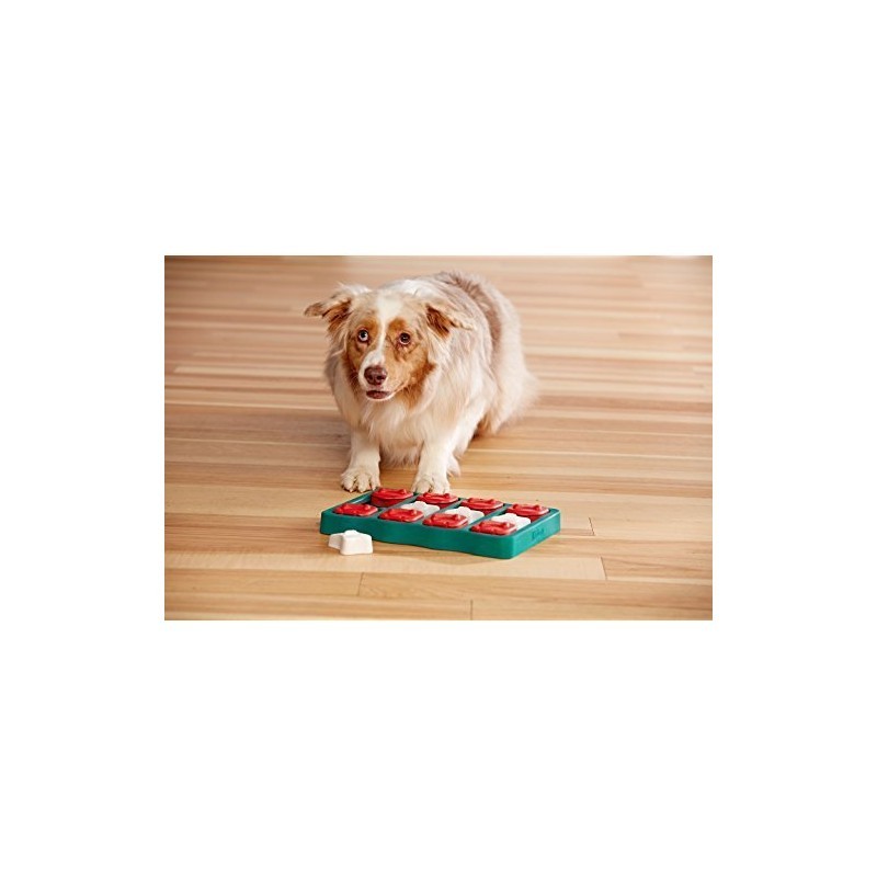 NINA OTTOSSON - 狗磚家-智力遊戲 (難度2: 低階)