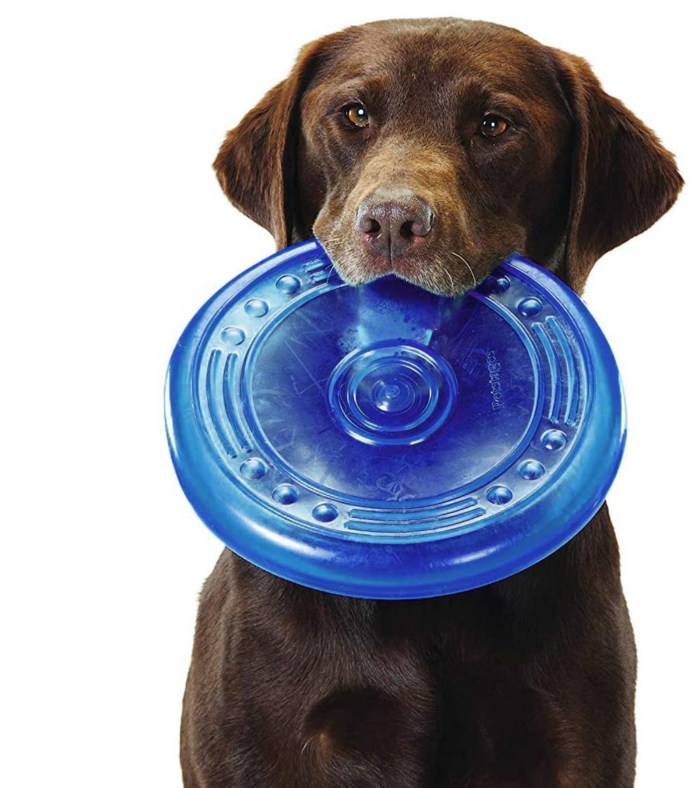 Petstages - 奧卡飛碟