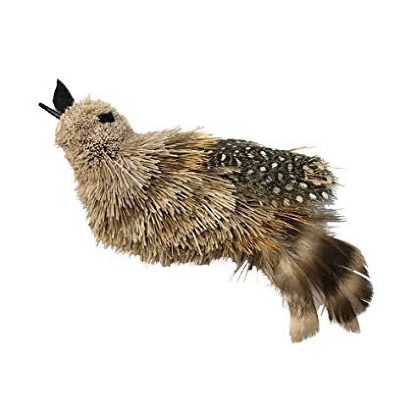 Go Cat Da Birdle 替換頭