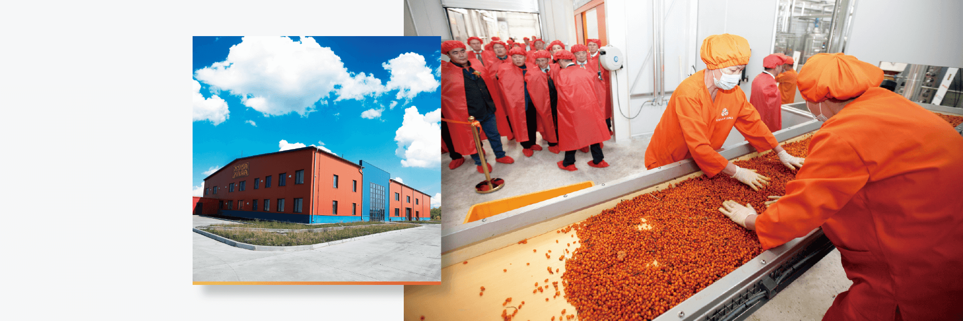 工廠的嚴格把關