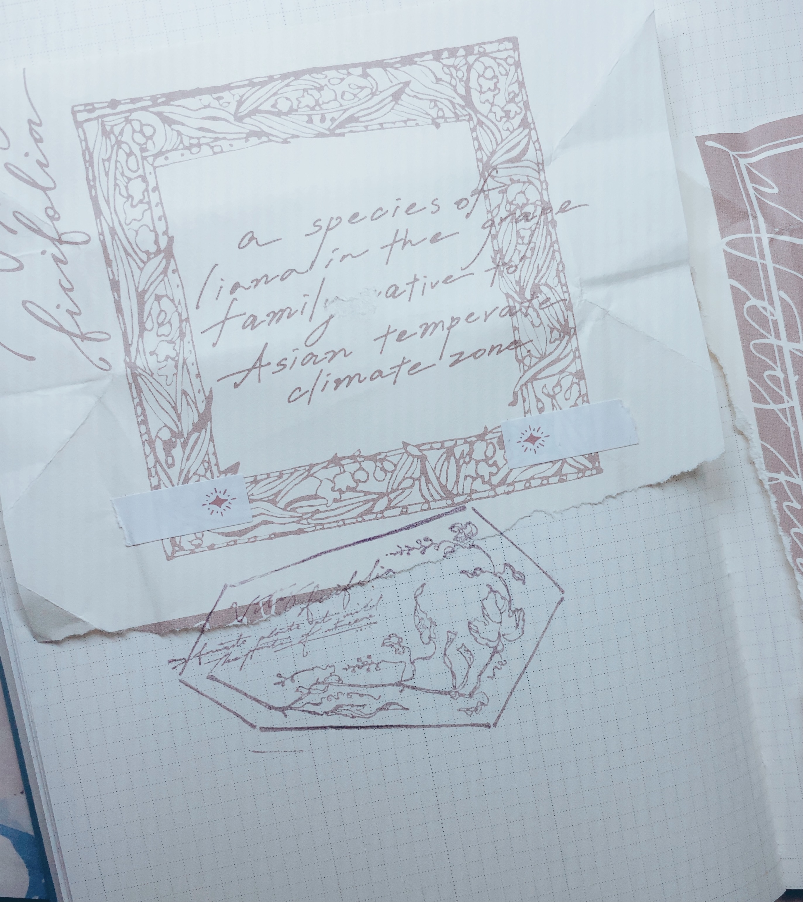 OURS 野葡萄 楓木印章