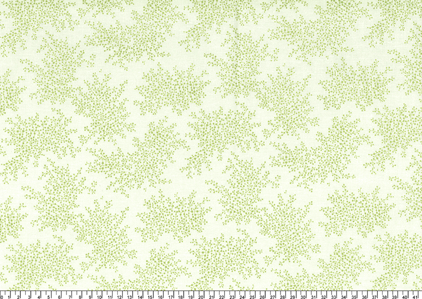 進口棉布R201101-66(一尺)