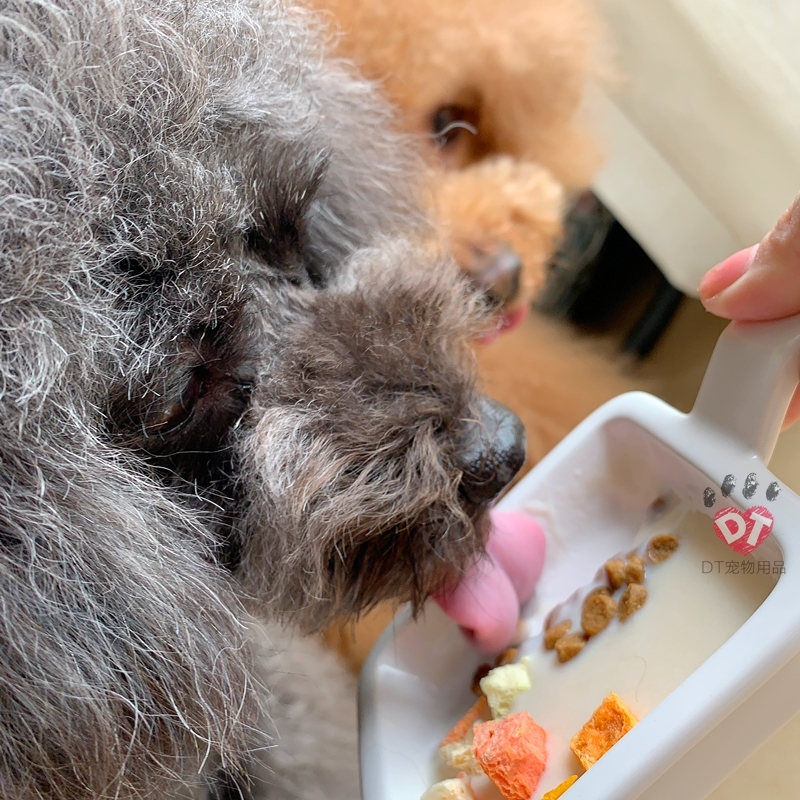 新包装蒙贝羊乳酸奶10包（50g*10袋）