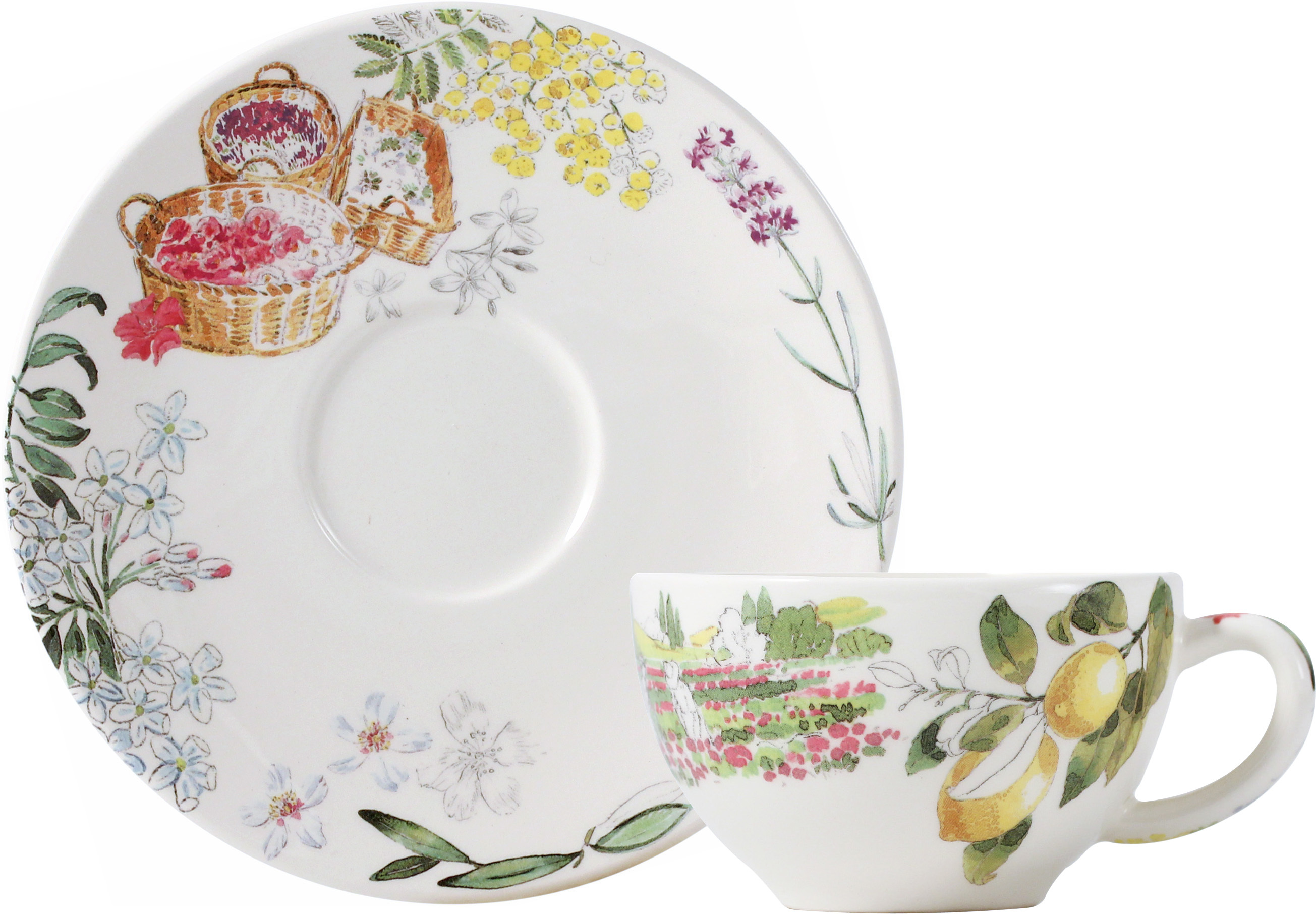 Tea Cup & Saucer (Set of 2)