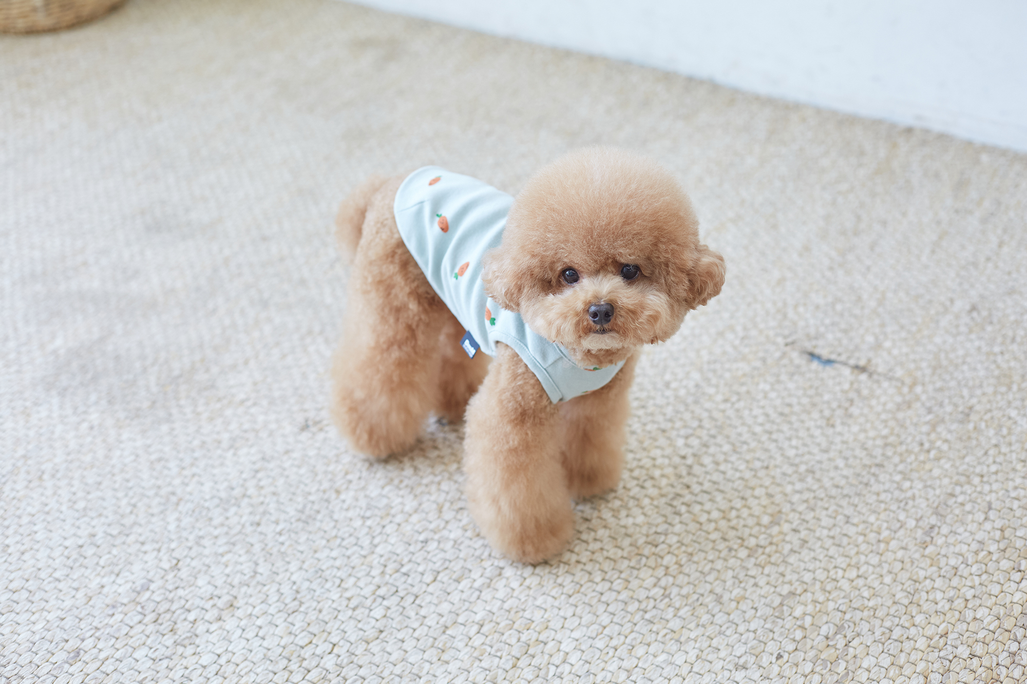 DearMyMom 紅蘿蔔無袖背心 (薄荷)