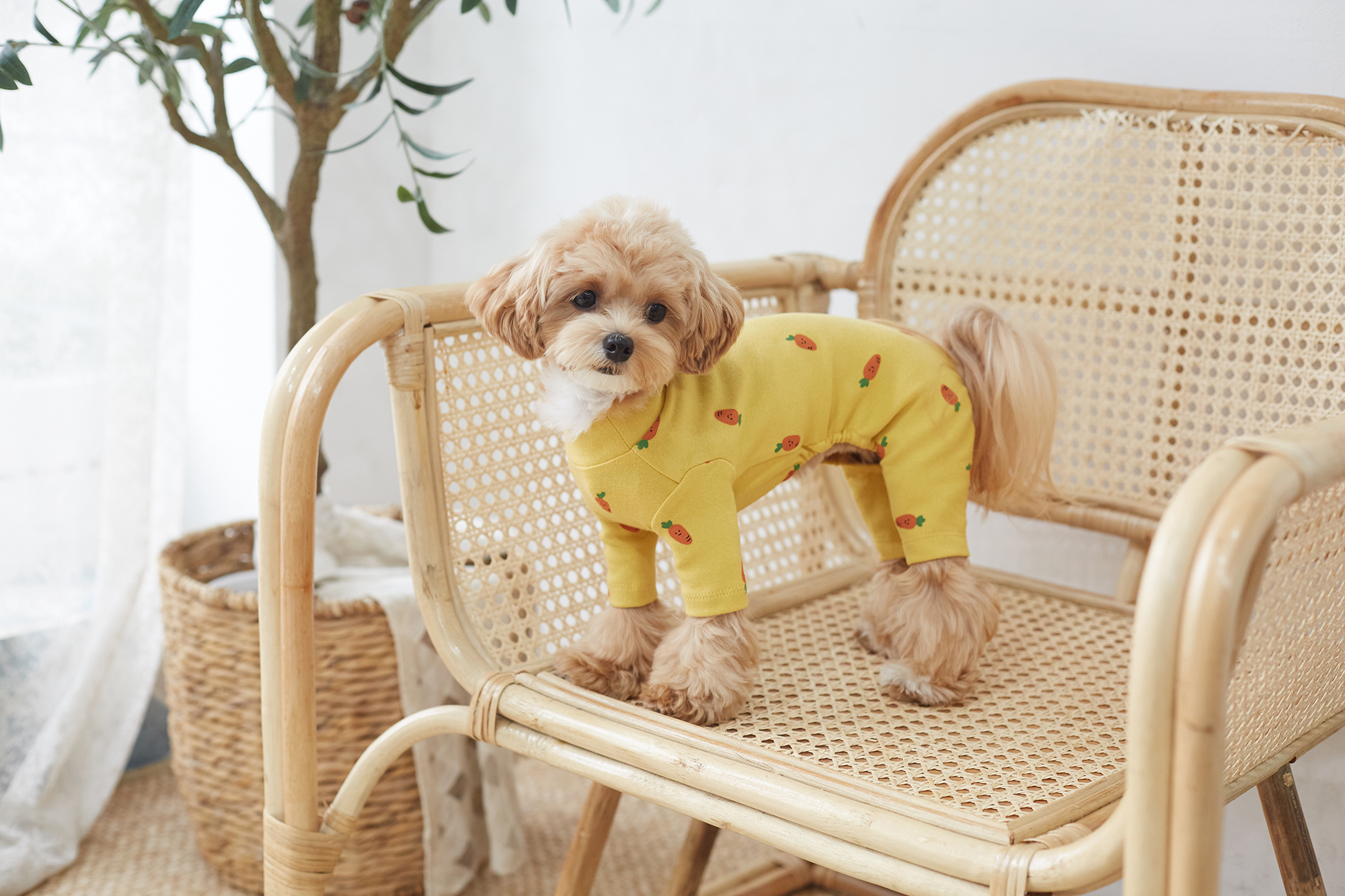 DearMyMom 紅蘿蔔連身褲 (芥末黃)