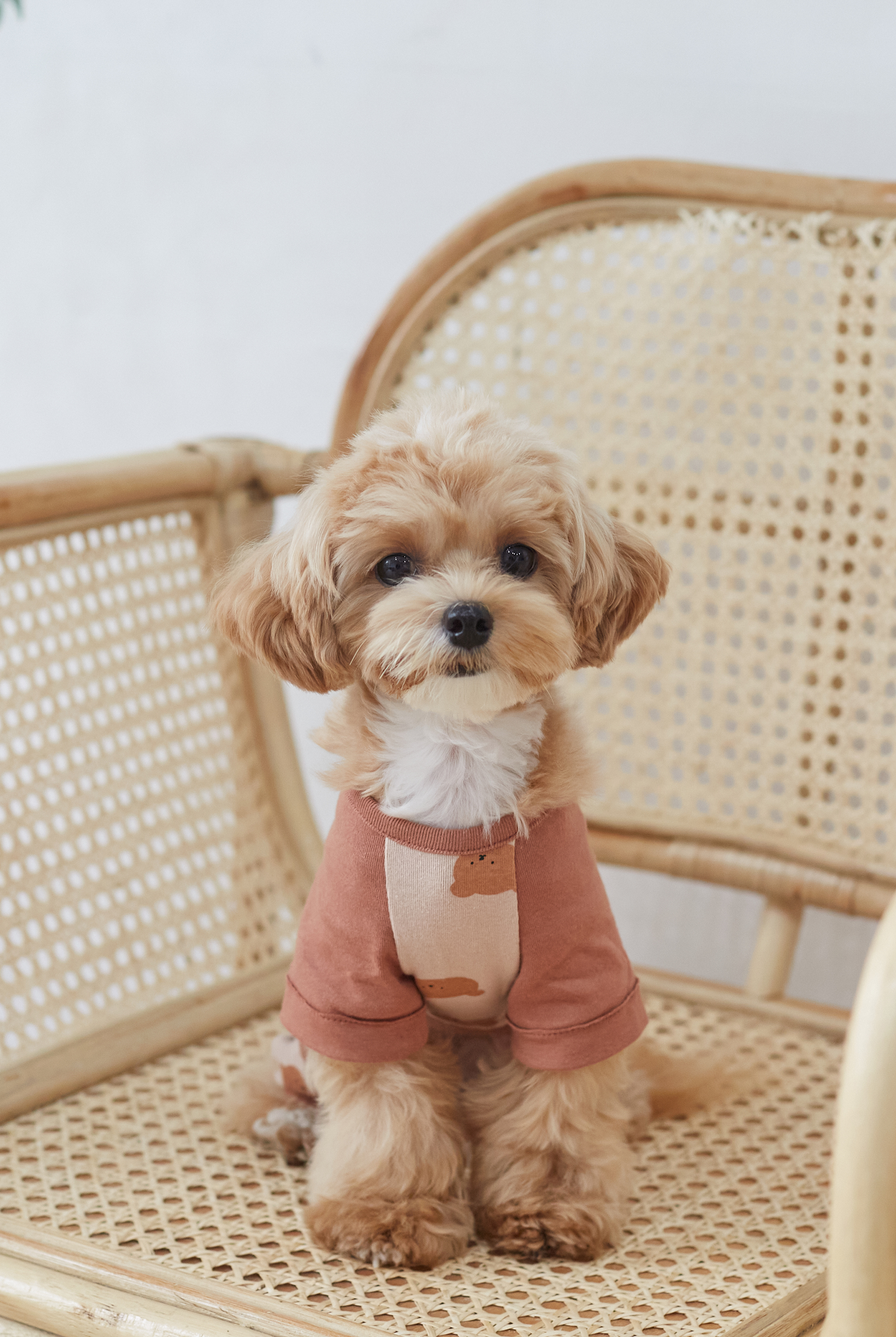 DearMyMom  寶寶熊連身褲 (粉紅)