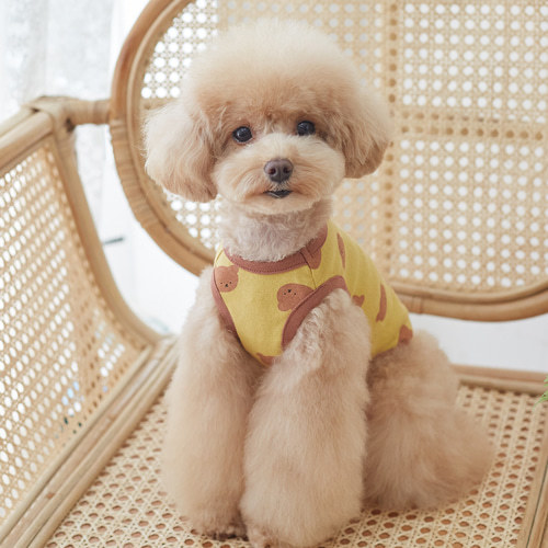 DearMyMom 寶寶無袖背心 (芥末黃)