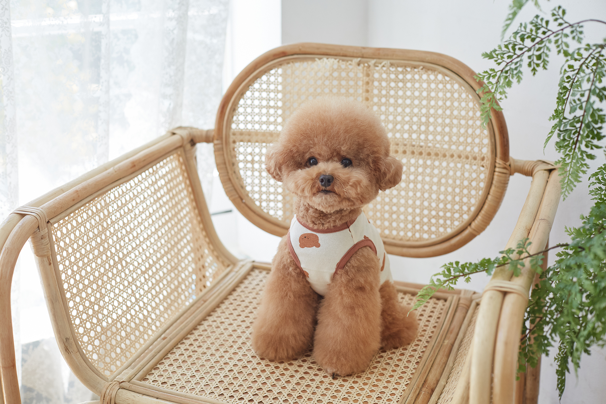 DearMyMom  寶寶無袖背心 (象牙白)