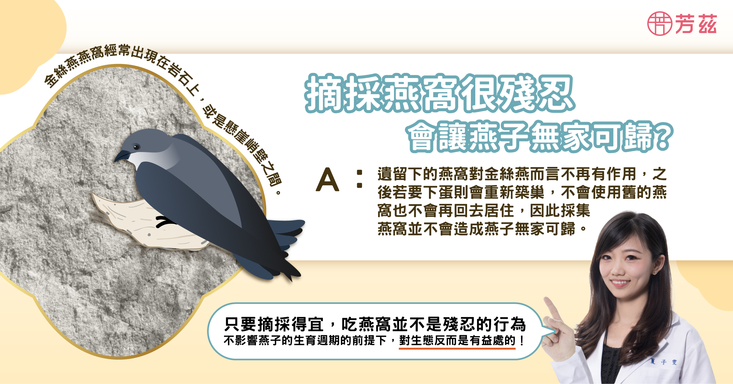 摘採燕窩很殘忍 會讓燕子無家可歸? A : 遺留下的燕窩對金絲燕而言不再有作用,之 後若要下蛋則會重新築巢,不會使用舊的燕 窩也不會再回去居住,因此採集 燕窩並不會造成燕子無家可歸。