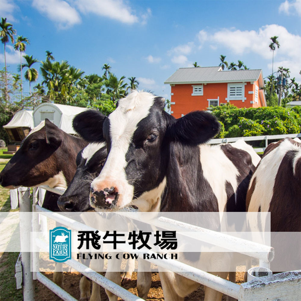 【苗栗】飛牛牧場 門票+彩繪肥牛DIY Ⓗ