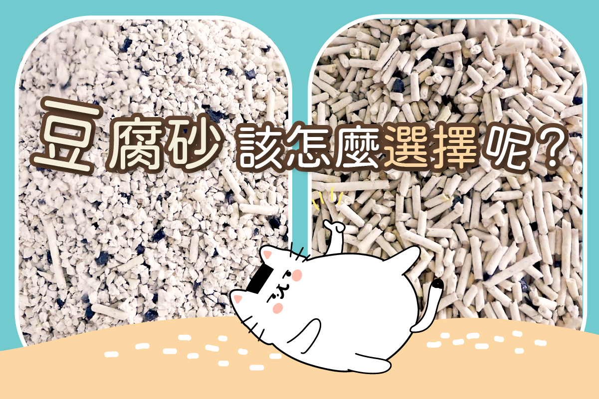 豆腐砂該怎麼選擇呢？