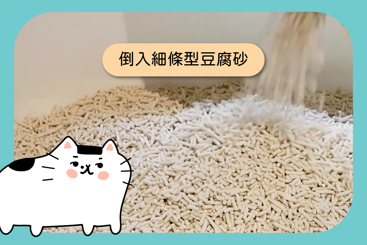 倒入條形豆腐砂