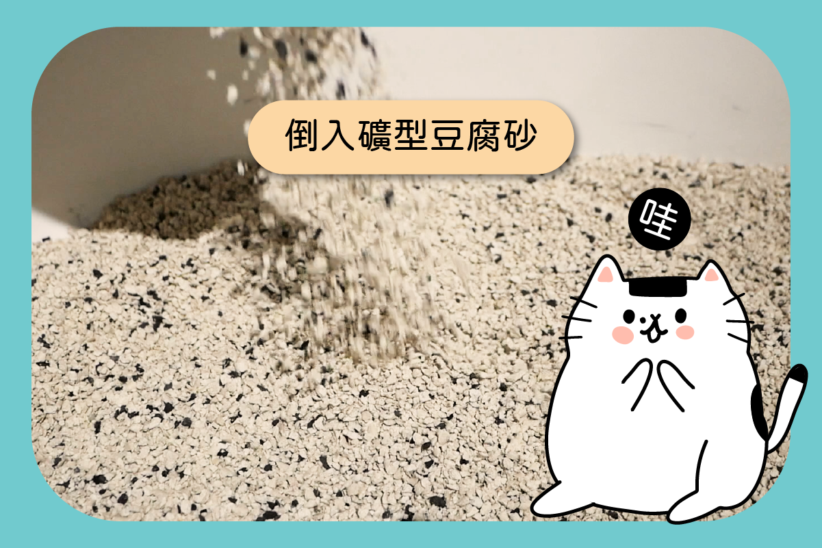 倒入礦型豆腐砂