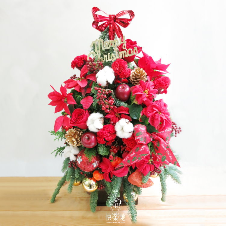 歡樂頌 I 聖誕節盆花   XM200428