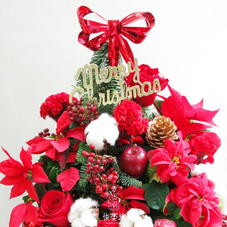 歡樂頌 I 聖誕節盆花   XM200428