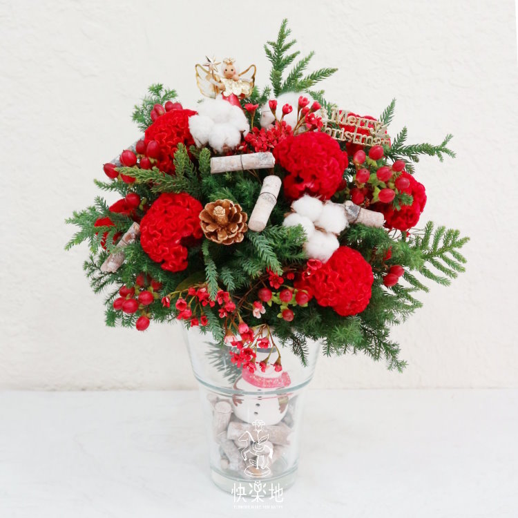 聖誕祝福 I 聖誕節盆花  XM200302