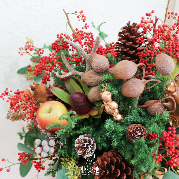 聖誕饗宴 I 聖誕節盆花  XM200521