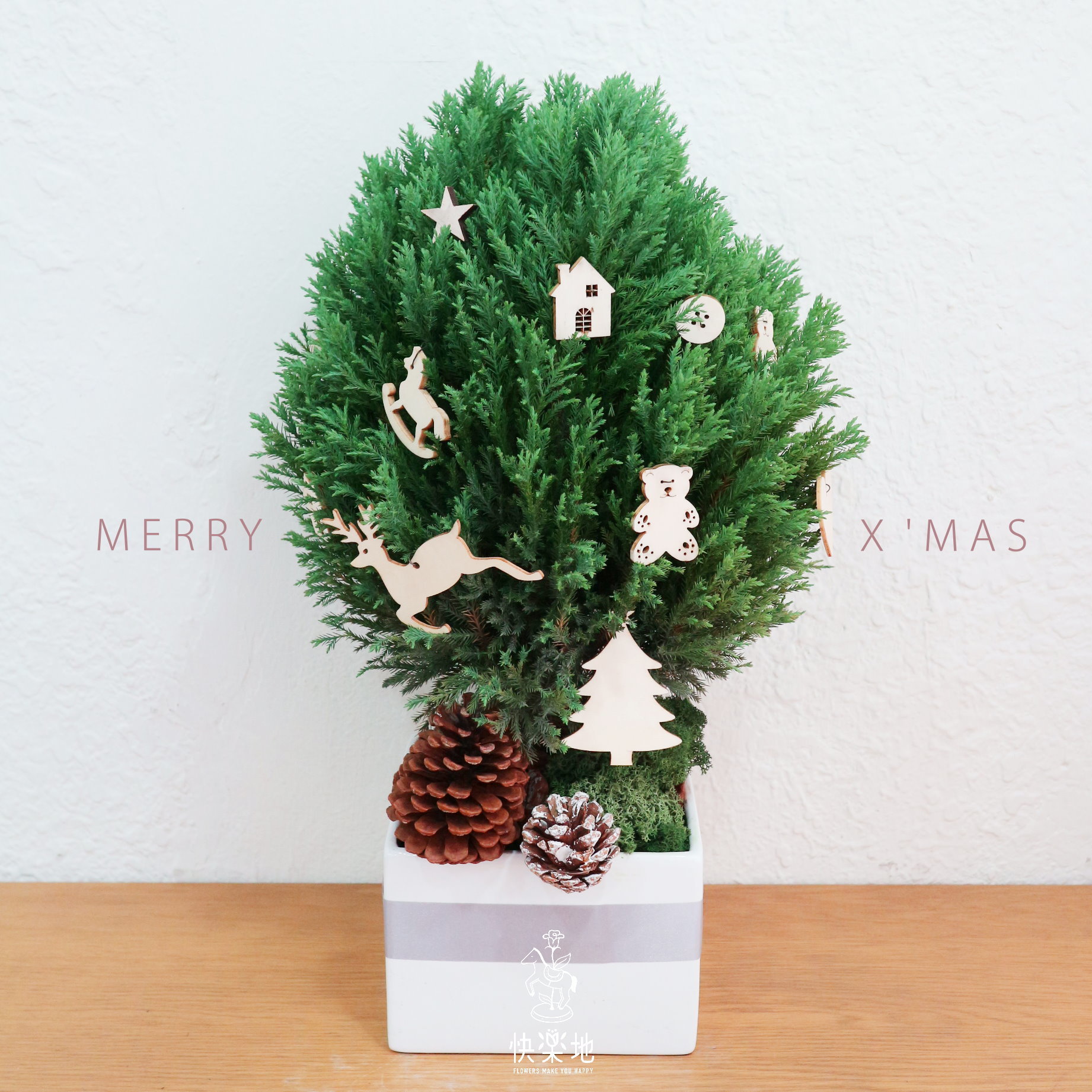 圓柏 I  長壽圓融 I 聖誕樹  XM200308