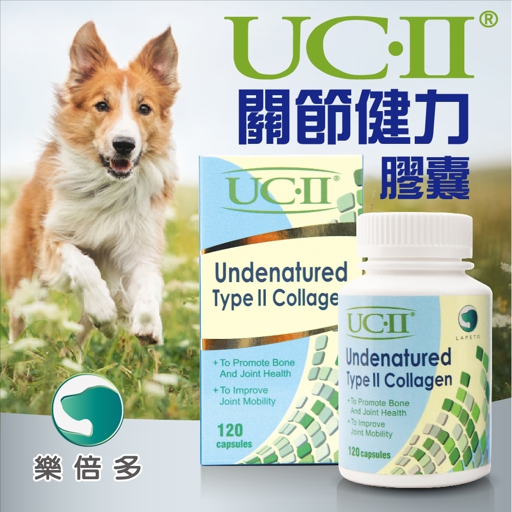 Lapeto - UCII Undenatured Type II Collagen 30 Capules