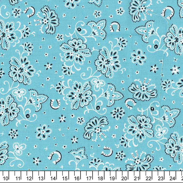 進口棉布R201101-111(一尺)