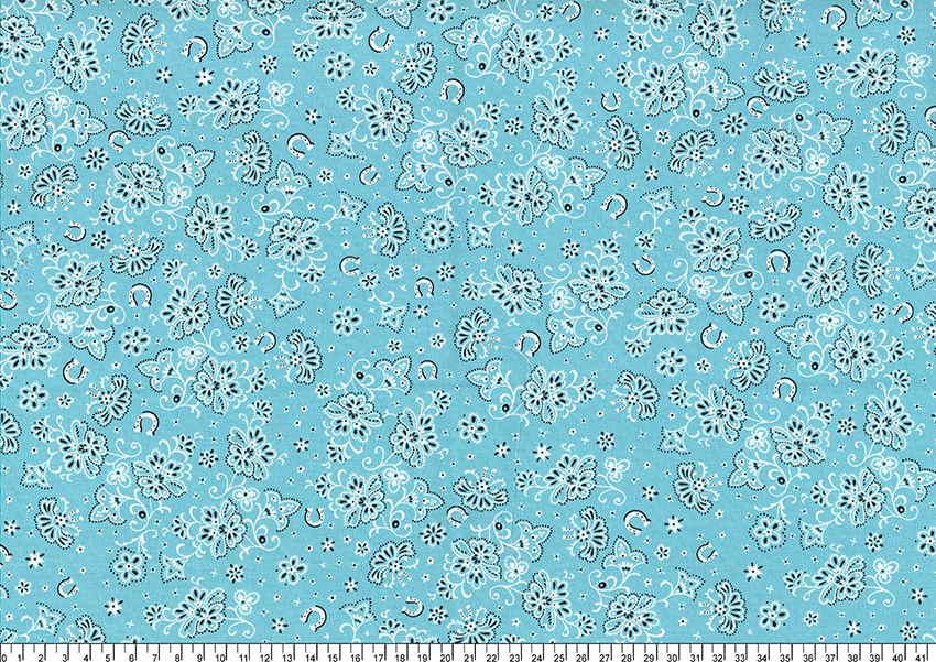 進口棉布R201101-111(一尺)