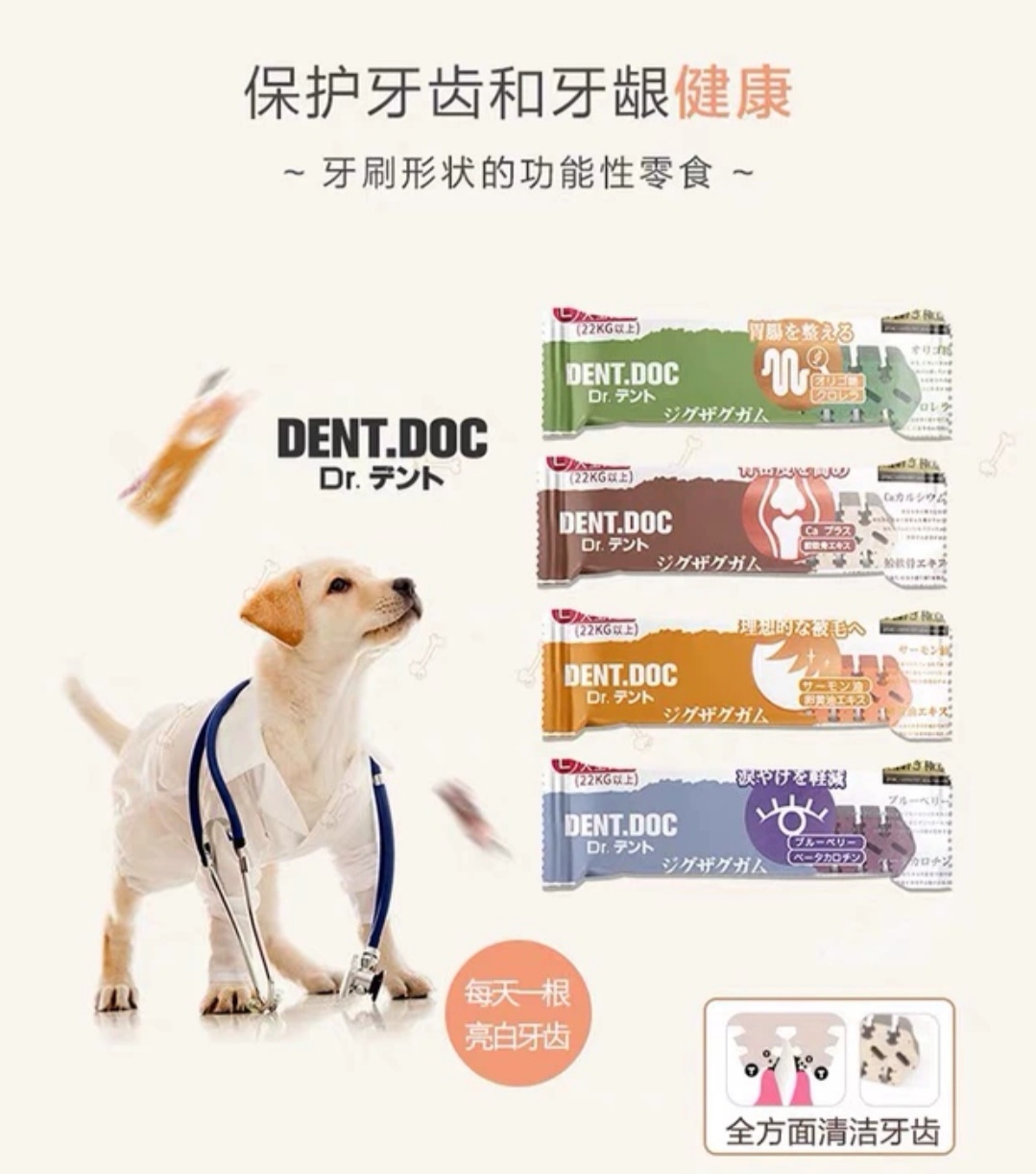 日本丹特医生鲨鱼骨 洁牙功能棒