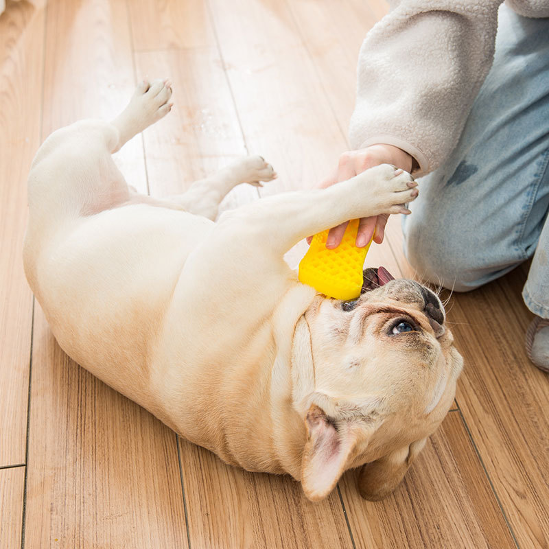 狗狗短毛洗澡按摩蛙胶刷子 青色
